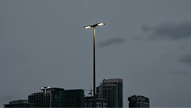 The Street Light